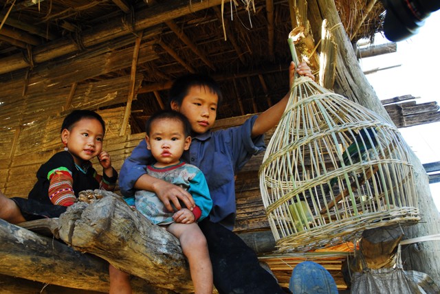 Vĩnh Phúc triển khai đồng bộ triển khai đồng bộ các giải pháp hỗ trợ hộ về vốn, việc làm