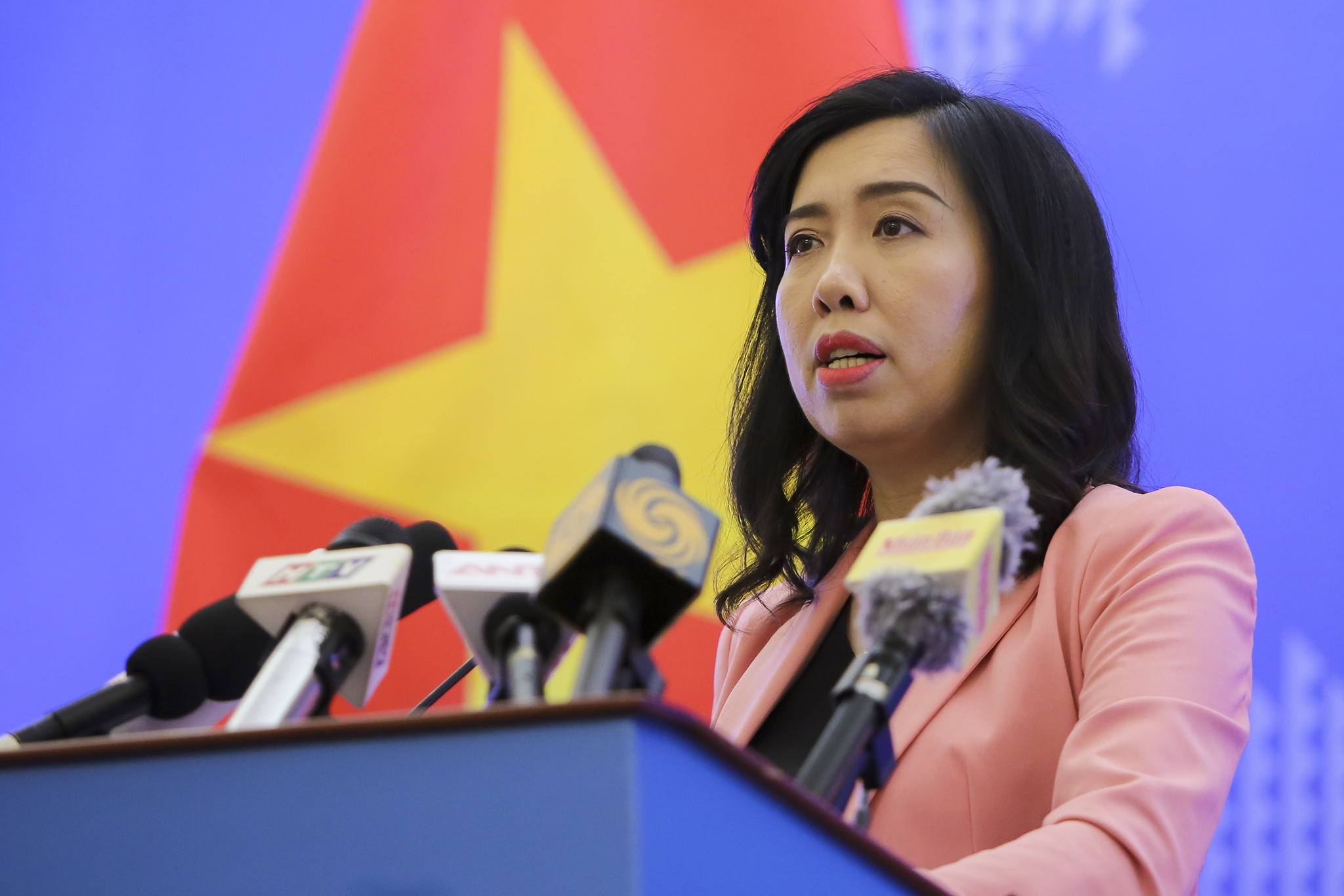 Sẵn sàng thực hiện các biện pháp bảo hộ công dân Việt Nam tại Pháp