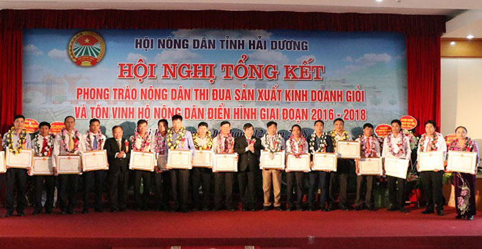 Phong trào thi đua sản xuất kinh doanh giỏi tạo động lực để nông dân làm giàu