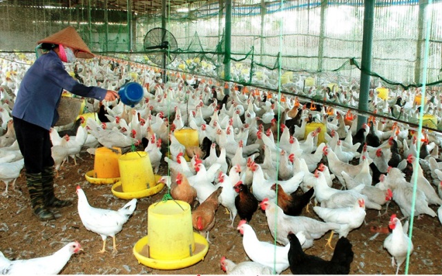 Vĩnh Phúc Xây dựng và duy trì các mô hình vận động hỗ trợ phụ nữ chủ động giải quyết các vấn đề xã hội