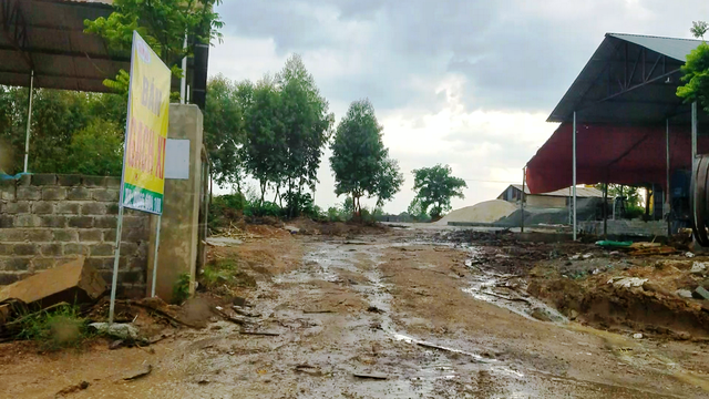 Thiện Kế Bình Xuyên đề nghị xem xét việc quản lý, sử dụng đất của nông trường Tam Đảo