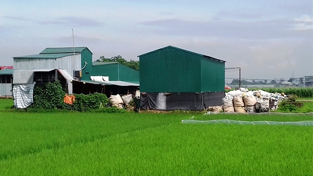 Yên Lạc Vĩnh Phúc  Cần điều chỉnh quy hoạch đất nông nghiệp, phục vụ phát triển kinh tế giai đoạn mới