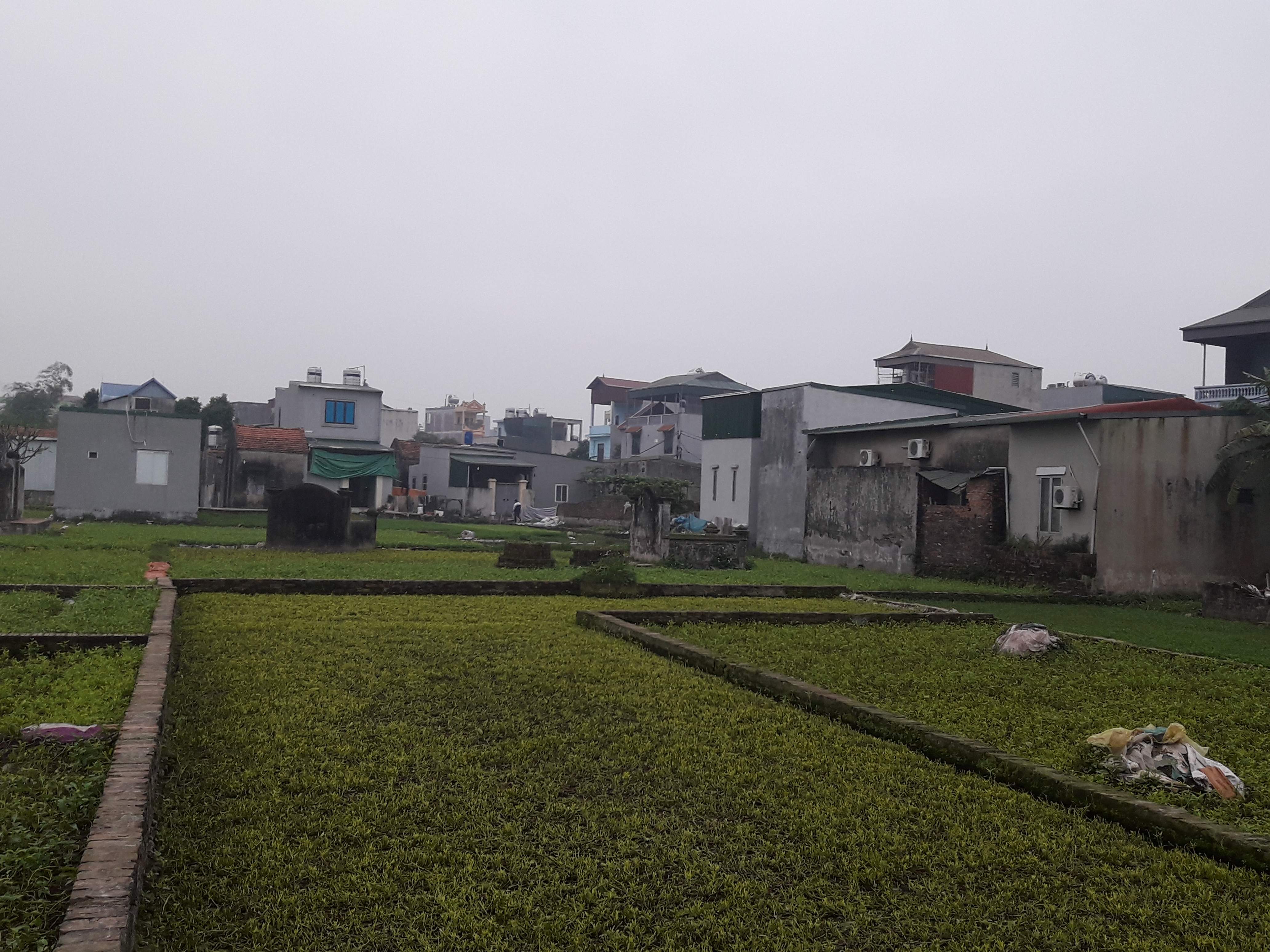 Xã Vĩnh Quỳnh, huyện Thanh Trì Hà Nội  Nhiều công trình xây dựng trái phép trên đất nông nghiệp
