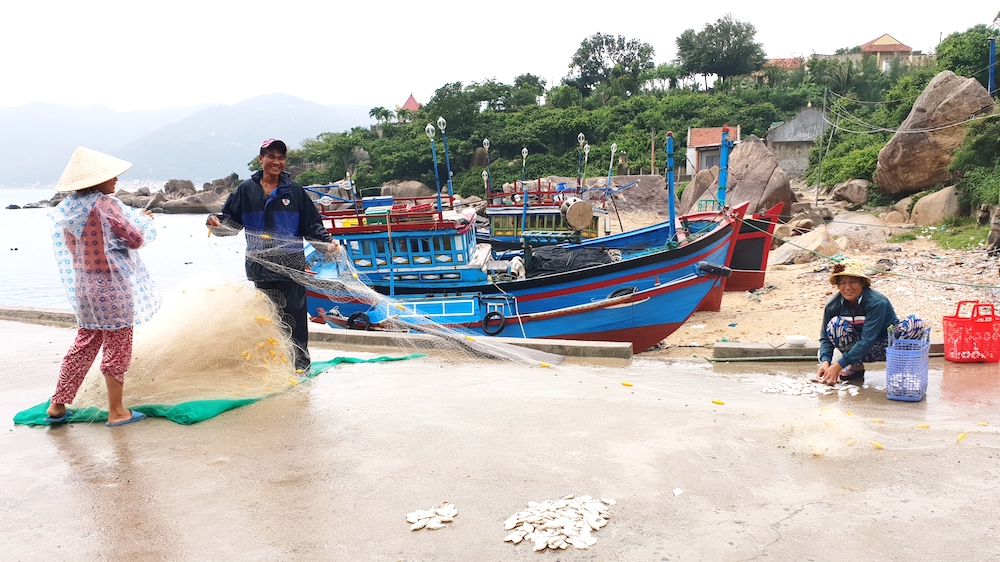 Tết về trên thôn đảo Khải Lương
