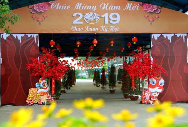 “Chào Xuân Kỷ Hợi 2019” tại Công viên nước Hồ Tây