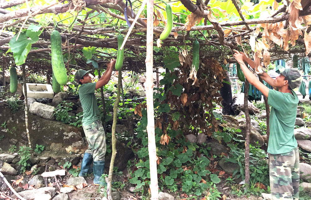 Gặp những người lính công binh trên đảo tiền tiêu