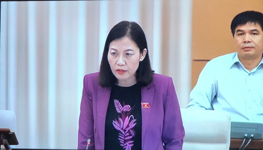 Sửa Luật có giải quyết được triệt để tình trạng thất thu thuế