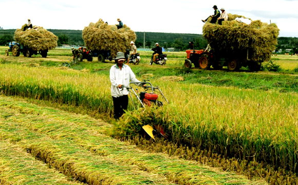 Tổng kết 15 năm tiếp tục đổi mới, phát triển, nâng cao hiệu quả kinh tế tập thể