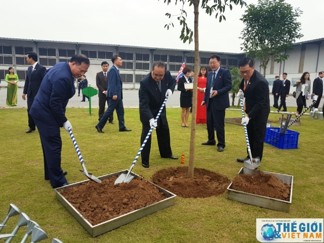 Tăng cường hợp tác kinh tế Việt Nam và Triều Tiên