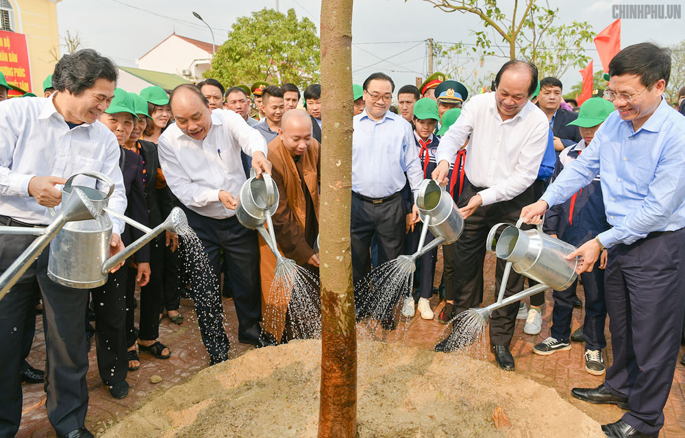 Xây dựng kế hoạch hành động cụ thể, thiết thực về trồng rừng, bảo vệ rừng