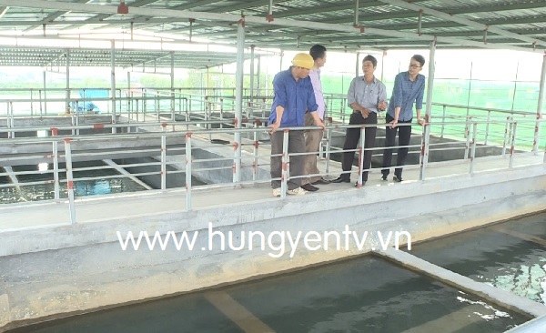 Hưng Yên Cần sự đồng thuận cao của chính quyền, người dân trong cấp nước sạch