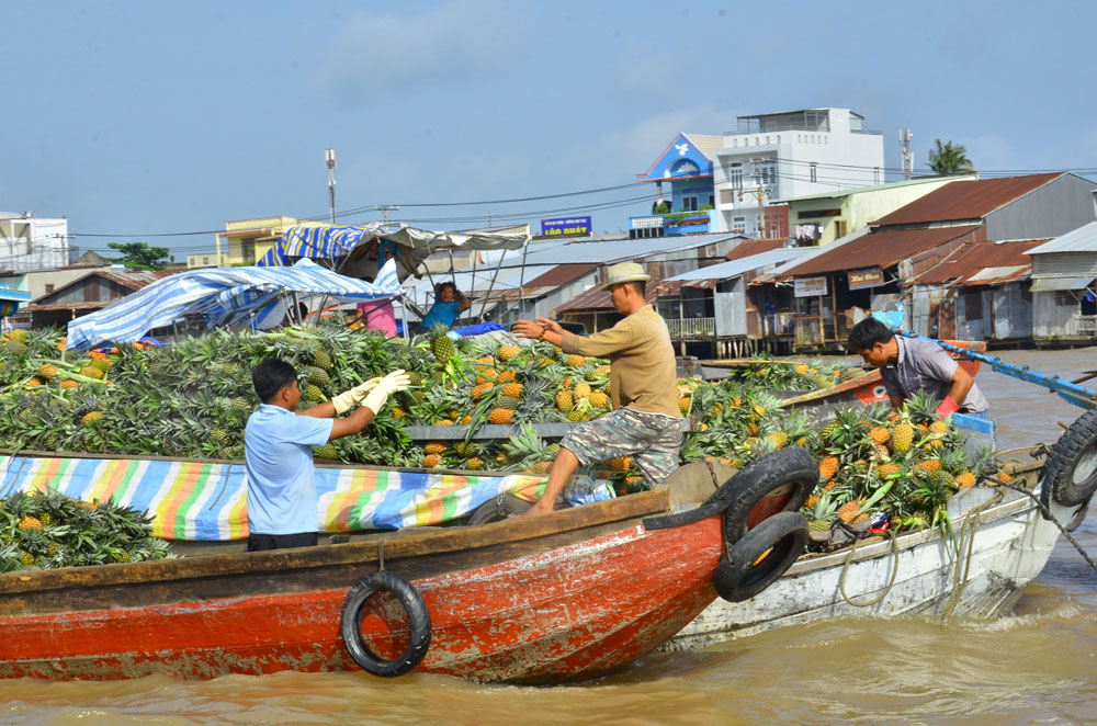 Hỗ trợ nông dân chuyển đổi mô hình kinh tế hiệu quả