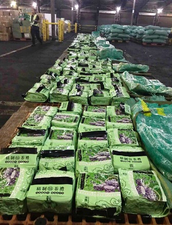 Hợp tác thành công Việt Nam và Philipin trong bắt giữ 276kg ma túy đá