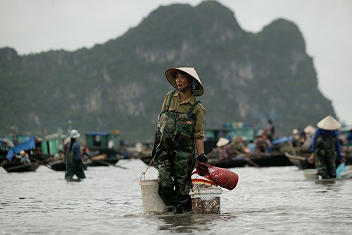 Thăm chợ cá Bến Do