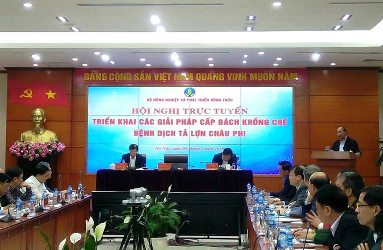 Lãnh đạo các địa phương phải chịu trách nhiệm về kết quả phòng, chống dịch tả lợn châu Phi
