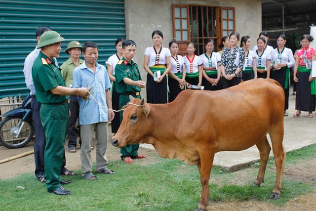 Vững vàng nơi biên cương Tổ quốc