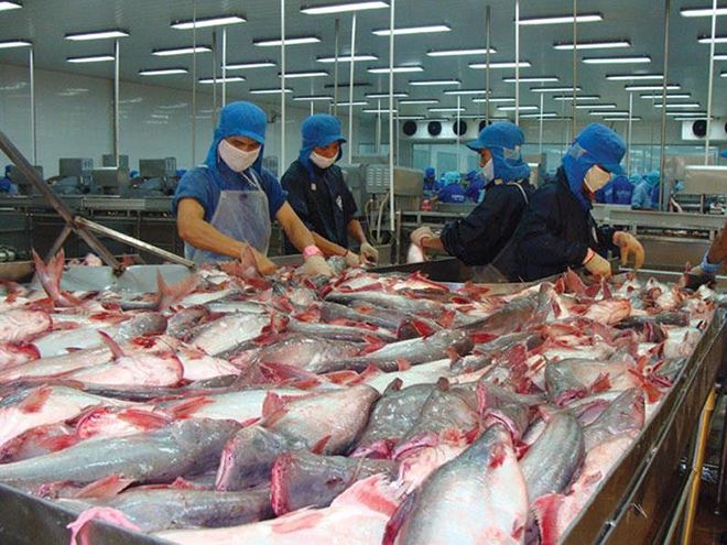 Trung Quốc Thị trường nhập khẩu cá tra lớn nhất của Việt Nam