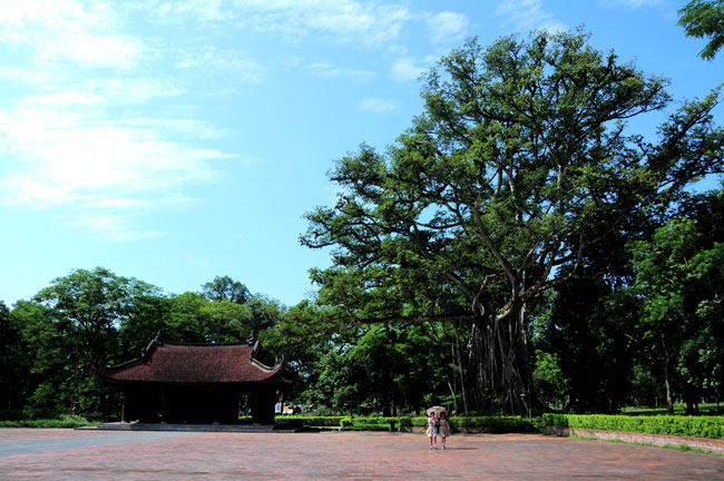 Dấu xưa Lam Kinh