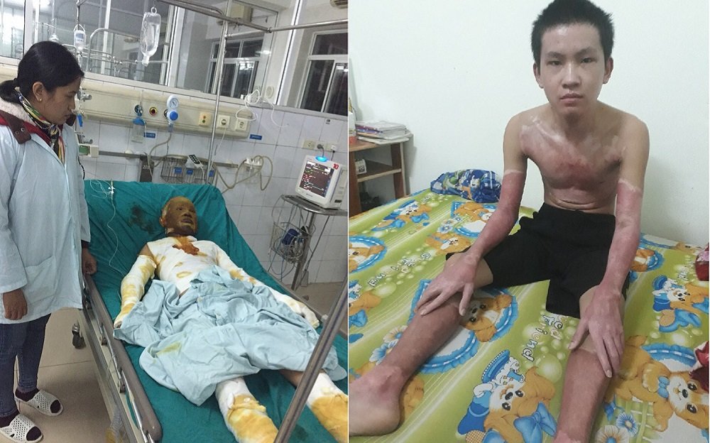 Sự sống hồi sinh với tấm thẻ màu xanh