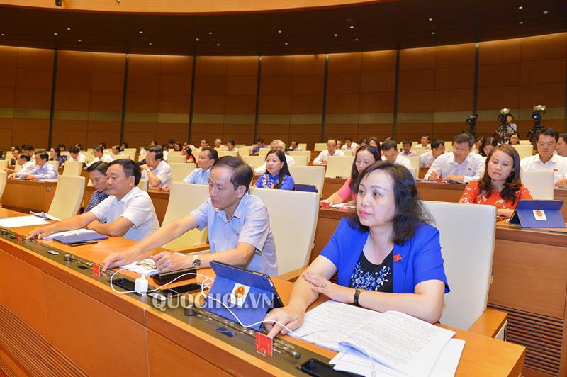 Thông qua Luật sửa đổi, bổ sung một số điều của Luật Kinh doanh bảo hiểm, Luật Sở hữu trí tuệ