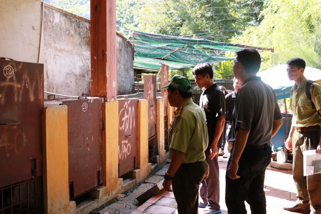 Cứu hộ 4 cá thể gấu tại TP Nha Trang