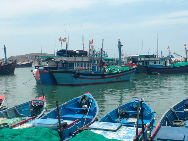 Đảm bảo các điều kiện khai thác thủy hải sản an toàn