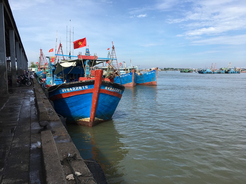 Cảng cá lớn nhất Bà Rịa-Vũng Tàu hoạt động hiệu quả
