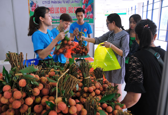 Tuần lễ vải thiều Lục Ngạn tại Hà Nội