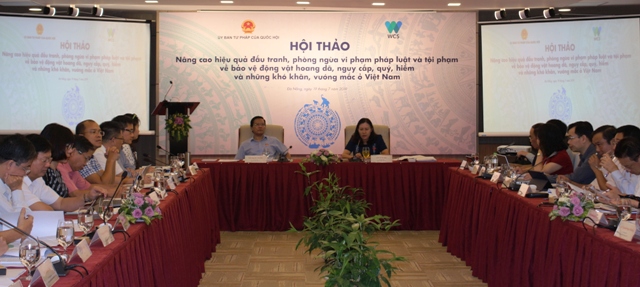 Nâng cao hiệu quả các chính sách quản lý, bảo vệ động vật hoang dã