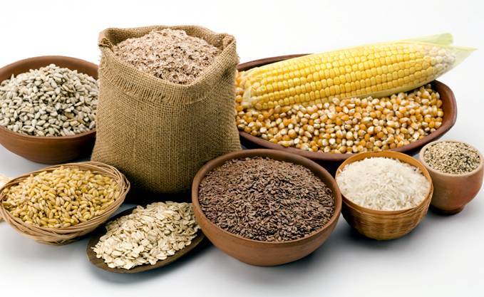 FAO Chỉ số giá lương thực giảm nhẹ trong tháng 6 2019
