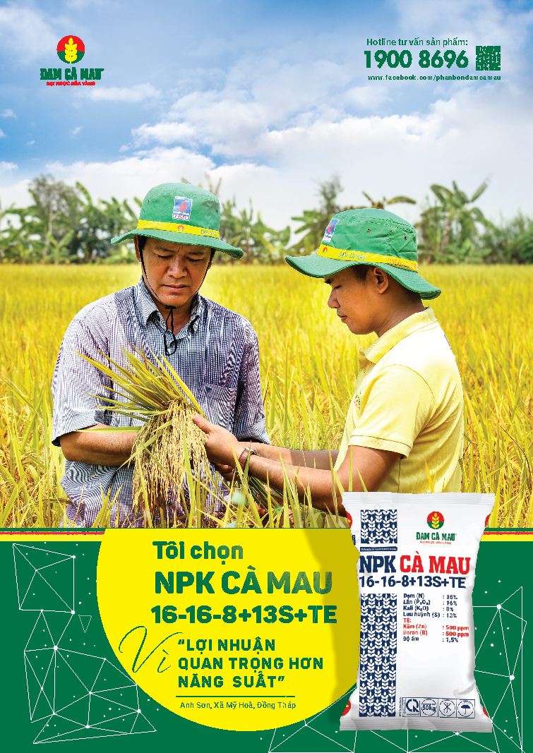 NPK Cà Mau gia nhập thị trường phân bón chất lượng cao