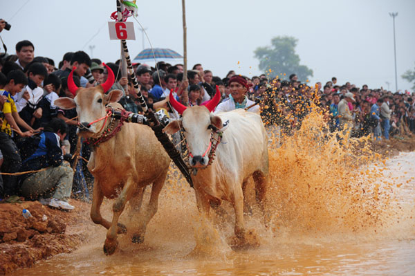 Bức tranh văn hóa Khmer đa sắc màu