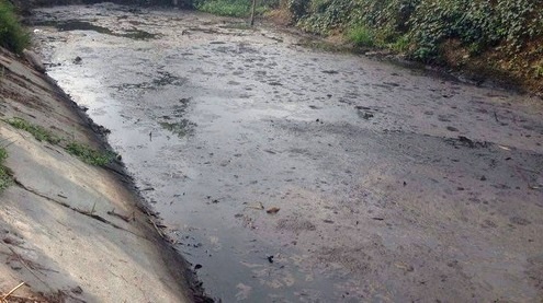 Hà Nam Sớm khắc phục dòng kênh ô nhiễm