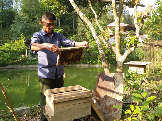 Trưởng thôn Mã Hoàng Tạ làm theo lời Bác