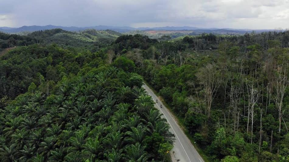 Tổng thống Indonesia thông báo di dời thủ đô đến tỉnh Đông Kalimanta