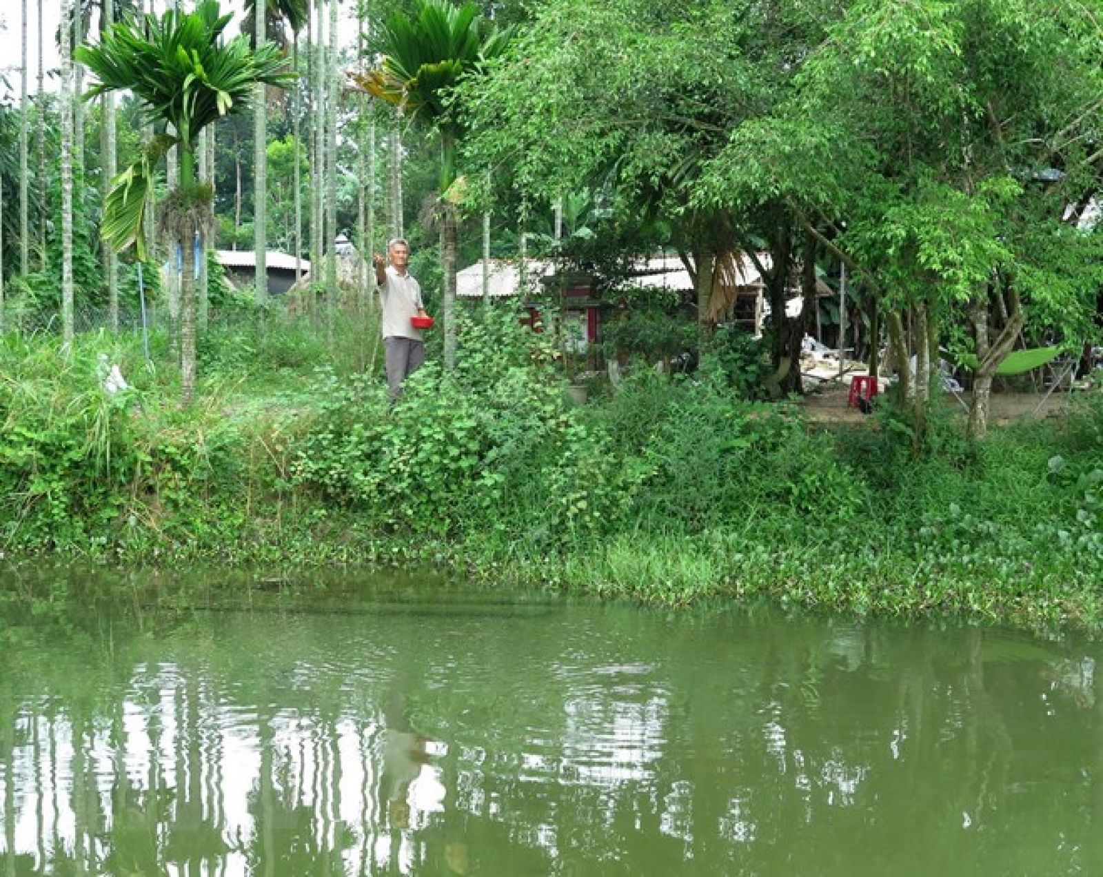 Triển khai hoạt động kỷ niệm 50 năm thực hiện Di chúc của Bác