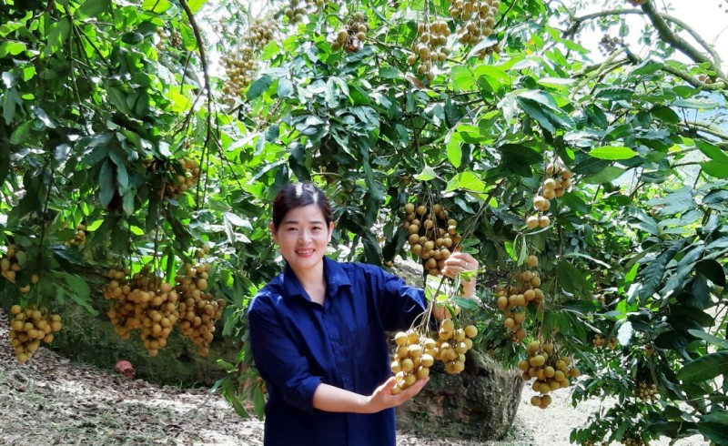 Nữ nông dân làm theo lời Bác