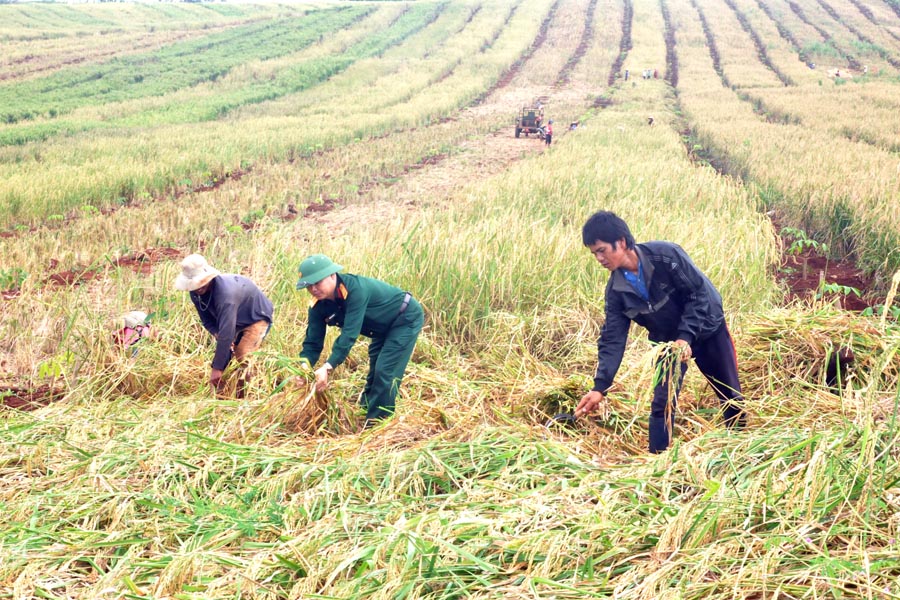 Những hạt vàng gắn kết tình quân dân