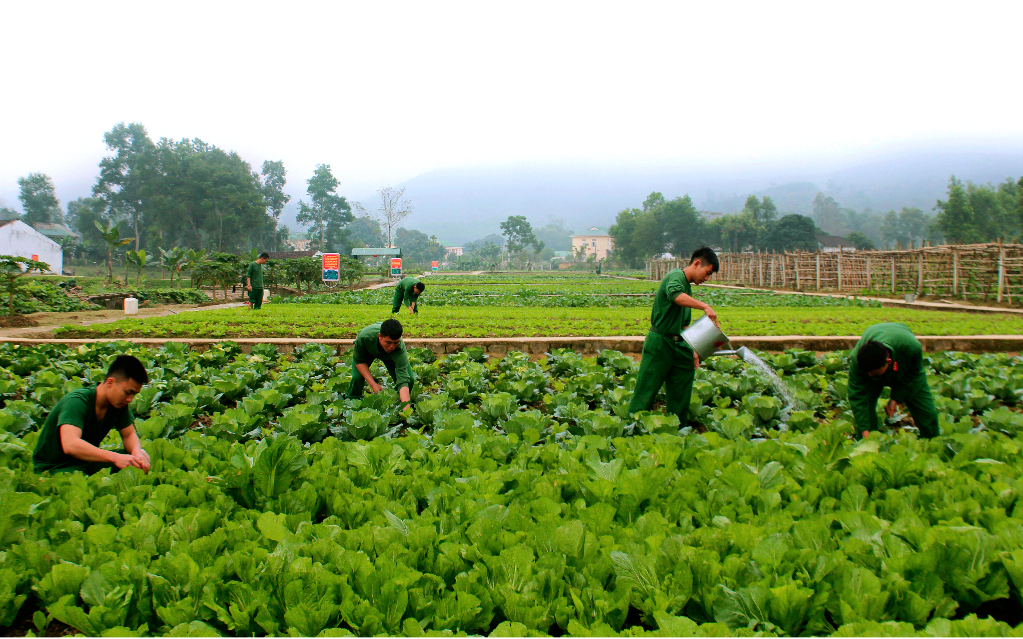 Hiệu quả, thiết thực trong công tác hậu cần