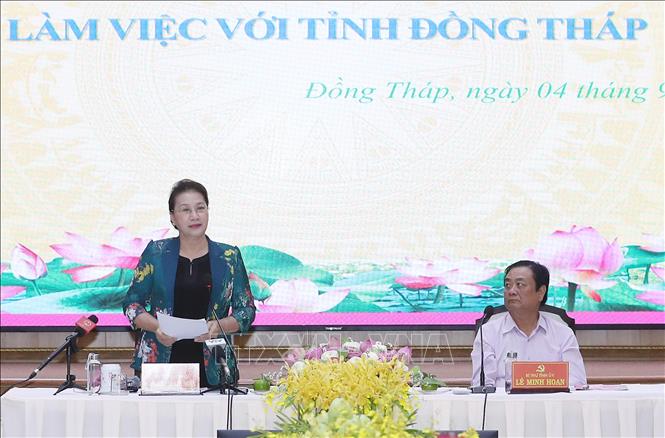 Đồng Tháp đổi mới sáng tạo về kinh tế nông nghiệp, nông thôn mới 🎥