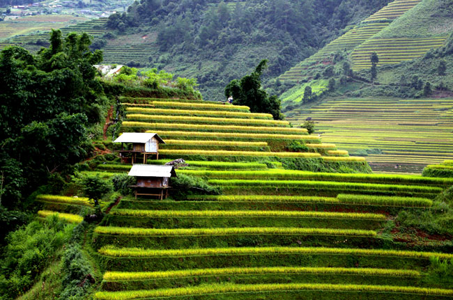 Yên Bái, điểm đến thân thiện và hấp dẫn