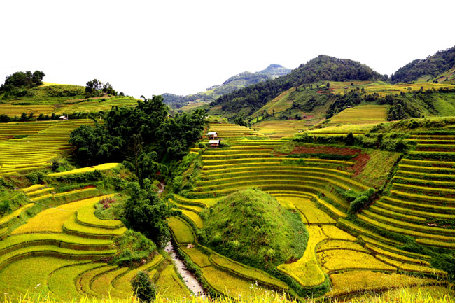 Bức họa vùng cao Tây Bắc