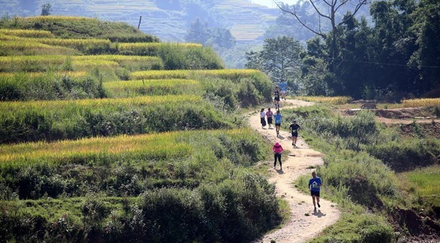 46 quốc gia, vùng lãnh thổ tham dự Lễ hội chạy bộ vượt núi tại Sa Pa