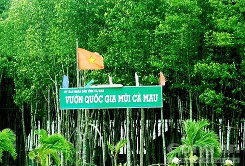 Khởi tố vụ án tham ô tài sản tại Vườn Quốc gia Mũi Cà Mau