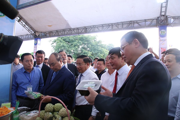 Khai mạc Triển lãm thành tựu 10 năm xây dựng nông thôn mới