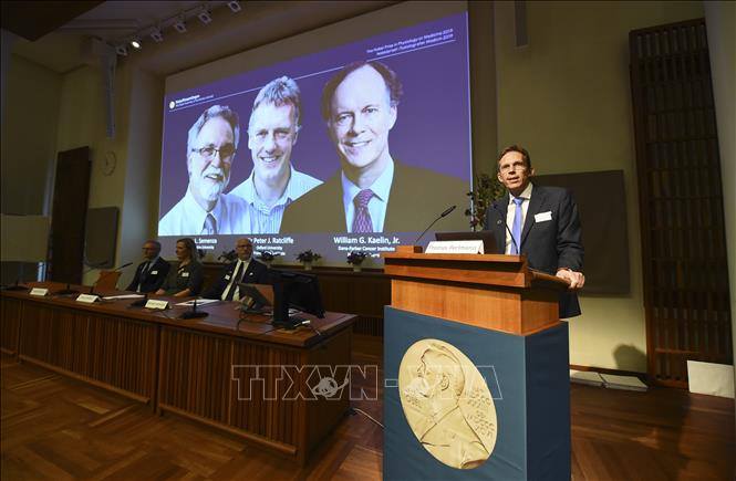 Giải Nobel Y học 2019 Vinh danh nghiên cứu mở đường cho điều trị bệnh thiếu máu và ung thư