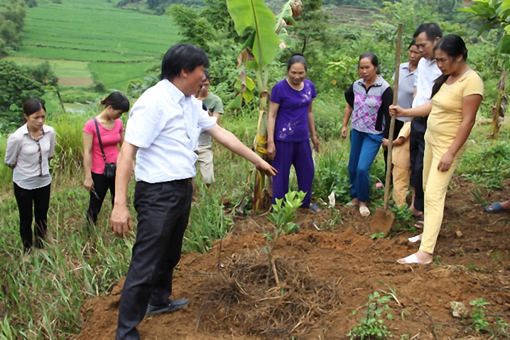 Tổ chức 1 338 buổi tập huấn kỹ thuật cho hội viên nông dân