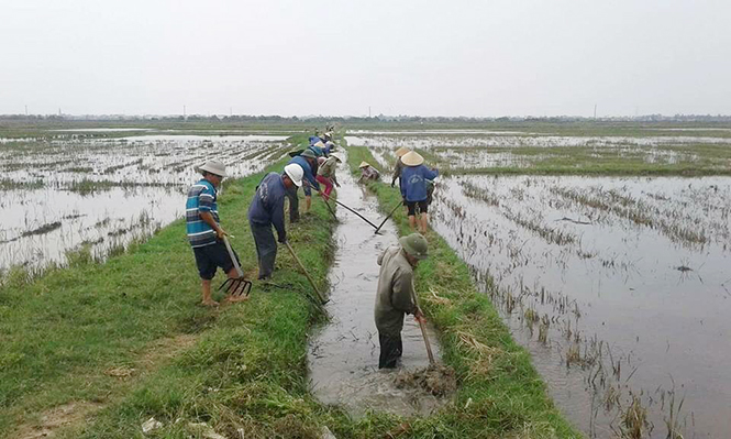 Quy định mới về tổ hợp tác