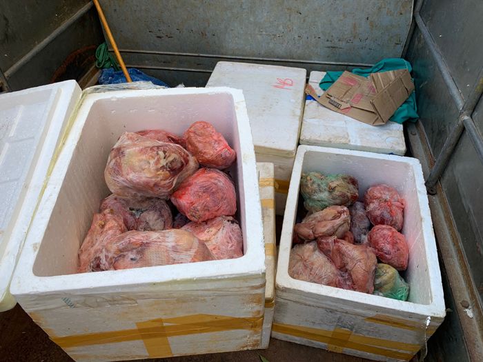 Bắt giữ gần 600 kg thực phẩm bẩn