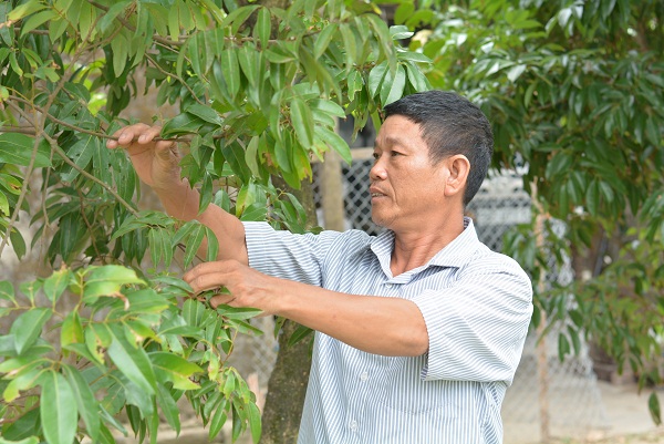 Bí thư Chi bộ vùng giáo trăn trở việc làng, tiên phong việc Đảng
